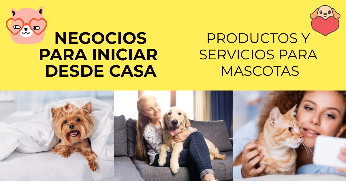 productos para mascotas